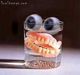 false_teeth.jpg image by Dugan54