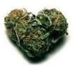 Weed.jpg image by bubblebutt4367