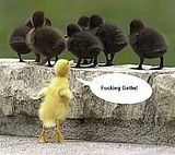 GothChicks.jpg image by cefforts