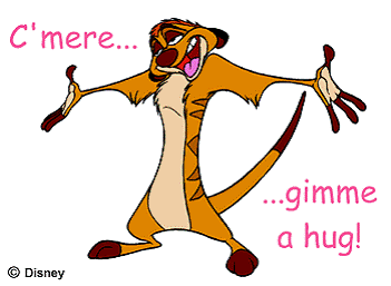 Timon.gif image by cr8td